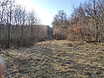 IMG_20190217_155016