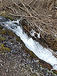 IMG_20190223_153024