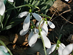 DSCN9744