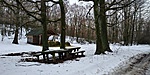 20190202_150711_HDR