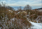 DJI_0567