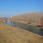 gcszbv-DSC09616