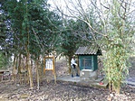 Szentkút