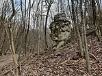 20190224_083633