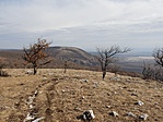 20190224_123502