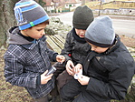 IMG_8264