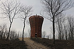 IMG_3685