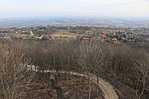 IMG_3687