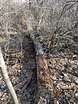IMG_20190217_130110