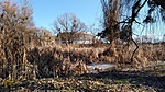 IMG_20190227_124043