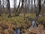 20190209_132648