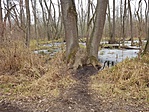 20190209_131835