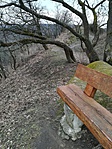IMG_20190203_115005