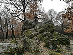 IMG_20190210_144735-01