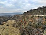 IMG_20190210_142244-01