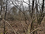 20190211_100804