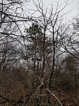 20190211_100806