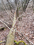 20190211_100808