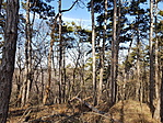 20190218_133808