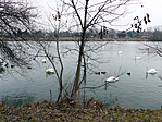 P1140575