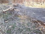20190317_164904