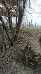 IMG_20190302_122129
