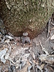 20190302_141348