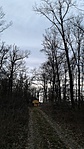 20190310_165142
