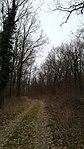 20190310_165146