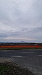 20190310_165306