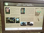 IMG_20190311_133618