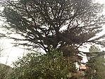 IMG_20190311_133648
