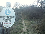 DSC00807