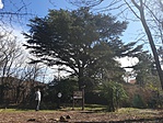 20190315_115638-1066x800
