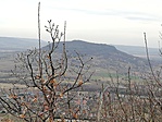 IMG_20190307_090844