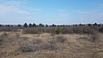 20190302_135415_resize