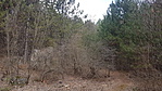 20190302_140823_resize