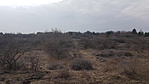 20190302_135601_resize