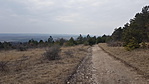 20190302_140350_resize