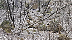 20190302_141214_resize