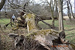 Zsennye_06