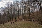 _DSC7566