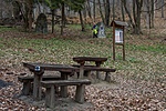 _DSC7571