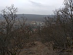 IMG_20190303_115650
