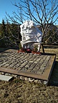 IMG_20190228_091812