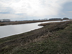 IMG_6845