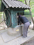 IMG_7174