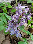20190324_152801
