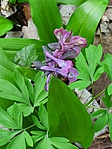 20190324_155838