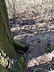 P1220505